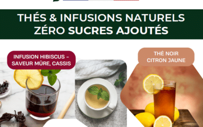 Mila Distribution et Noevan : Des thés sans sucres ajoutés pour la distribution automatique